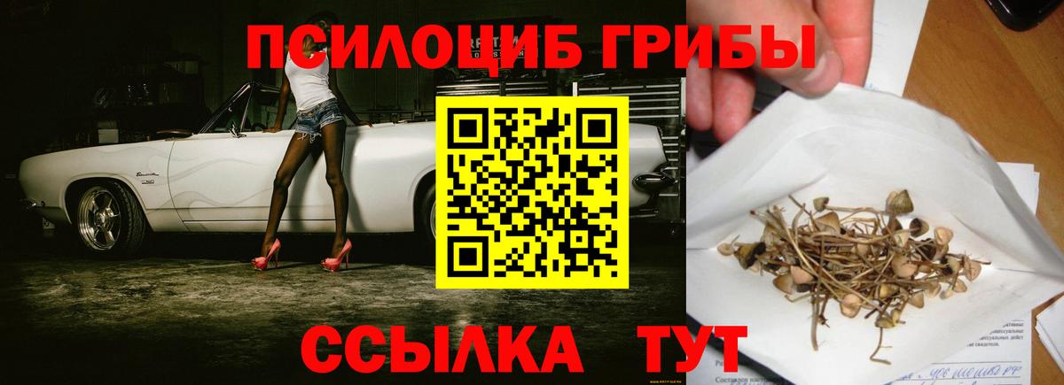Псилоцибиновые грибы мицелий  Вход с VPN  Псилоцибиновые грибы мицелий  Химки 